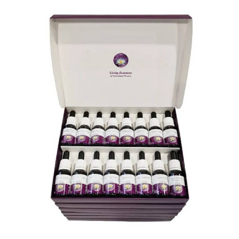 88 ESSENZE 15ML KIT
